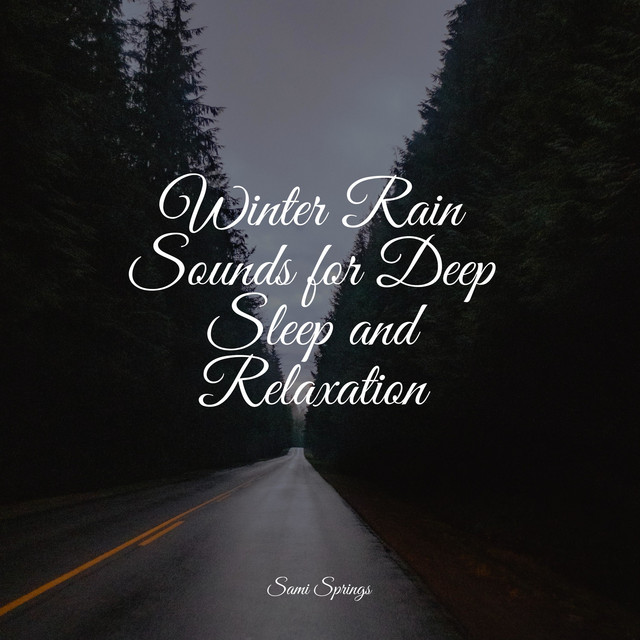 Winter Rain Sounds for Deep Sleep and Relaxation - Album by Yoga ...