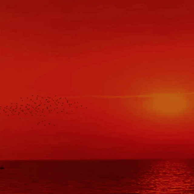 Sunset cover art