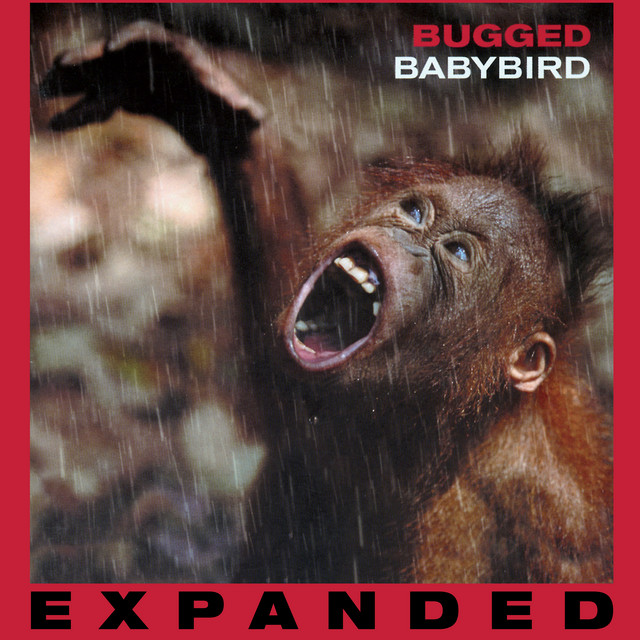Bugged (Expanded) cover art