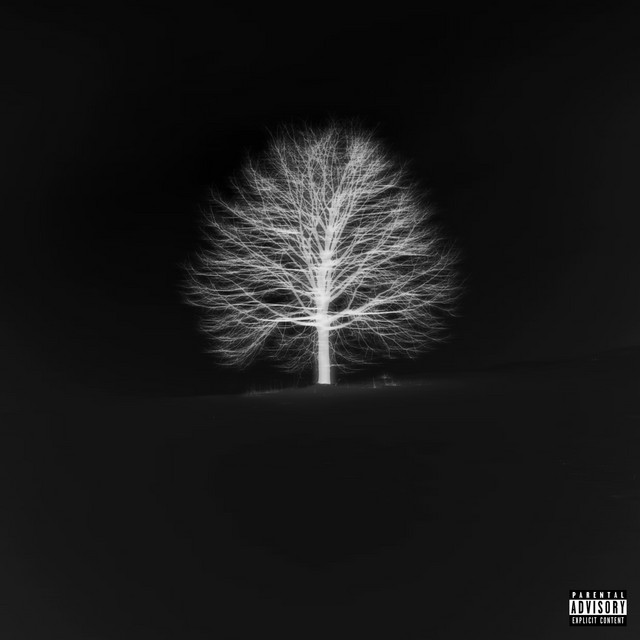 TIEMPO DE DEMONIOS cover art