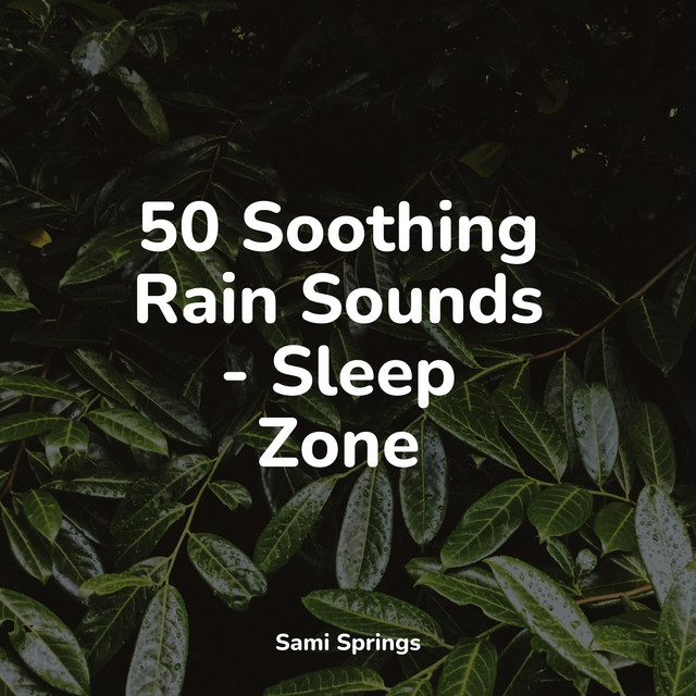 50 Soothing Rain Sounds - Sleep Zone - Album by Smart Baby Lullaby ...