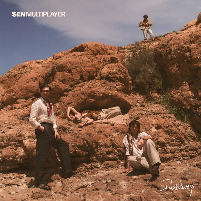 Sen Multiplayer cover art