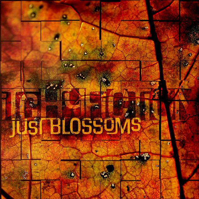 Just Blossoms (single)