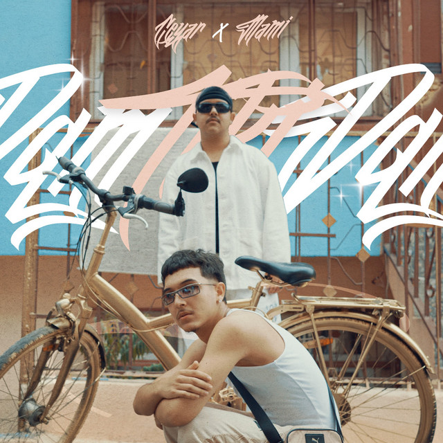 DAM TİKİ DAM cover art