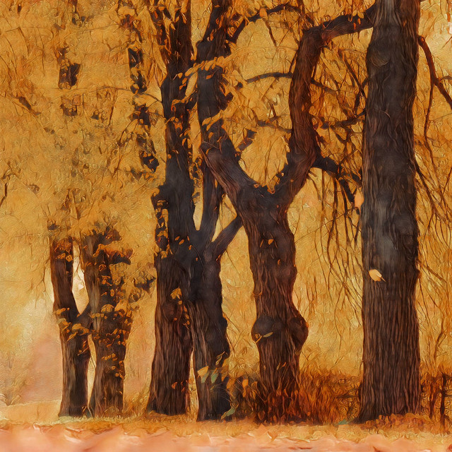 Autumn Stroll