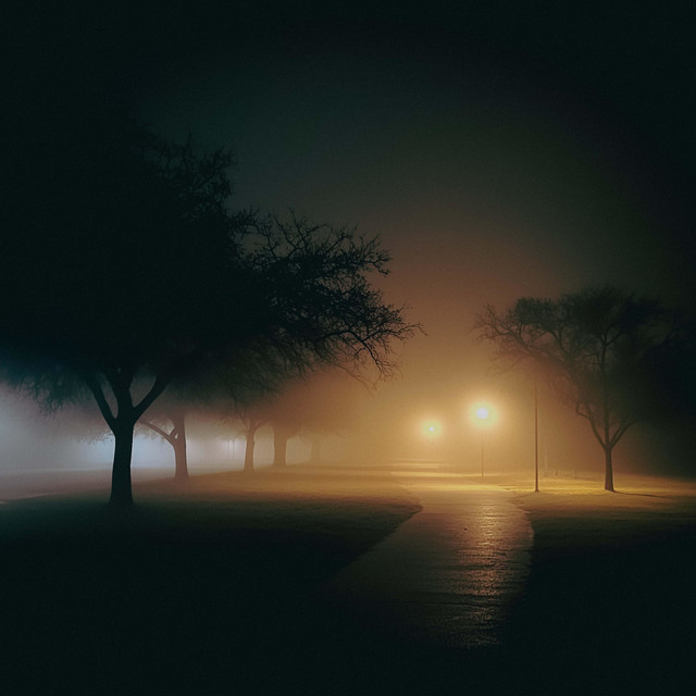 Обкладинка: Fog — Dimitriy Pavlovskiy