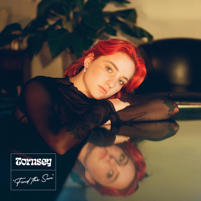 Find The Sun cover art