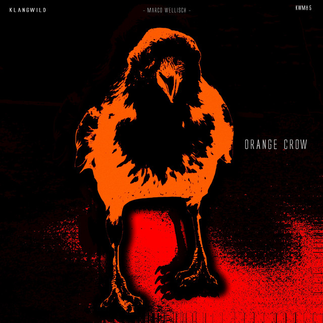 Orange Crow - song and lyrics by Marco Wellisch | Spotify