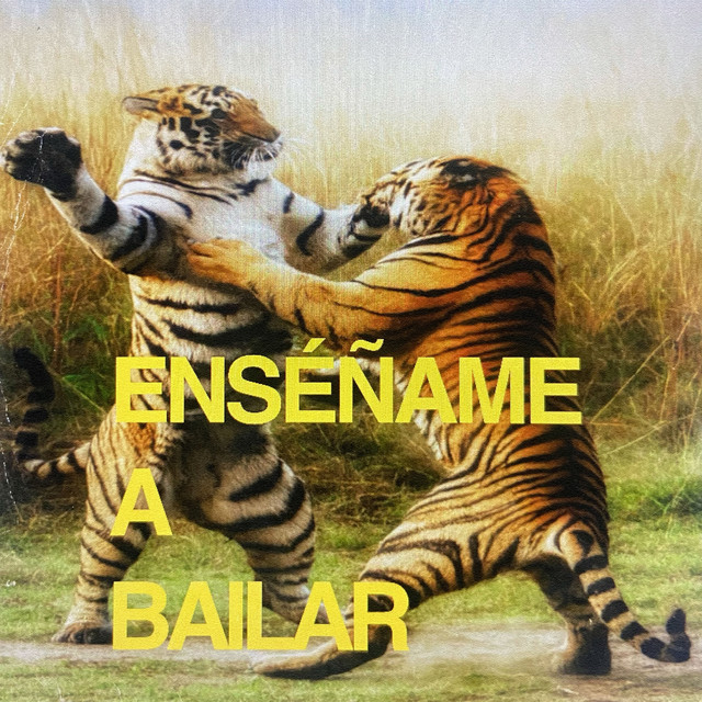 ENSEÑAME A BAILAR