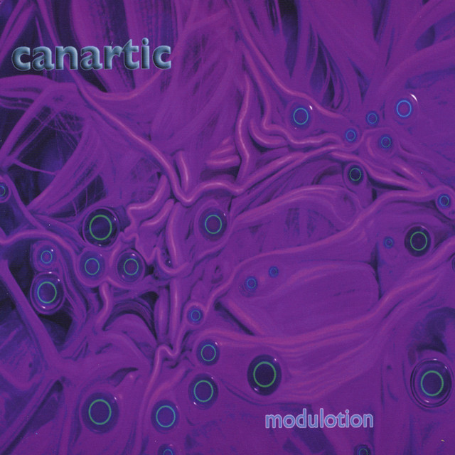 Modulotion cover