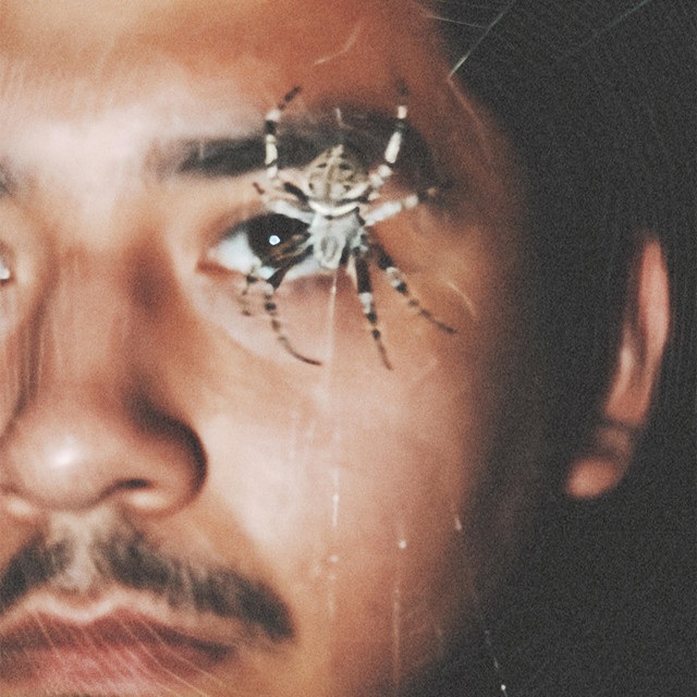 What More II cover art