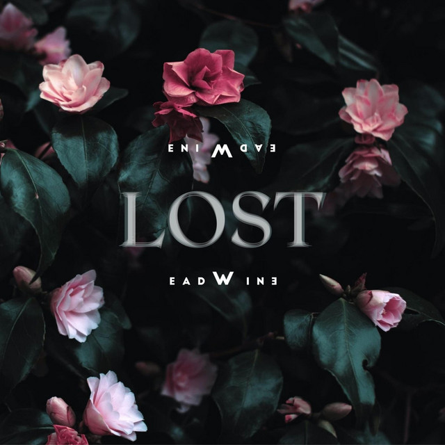 Lost cover art