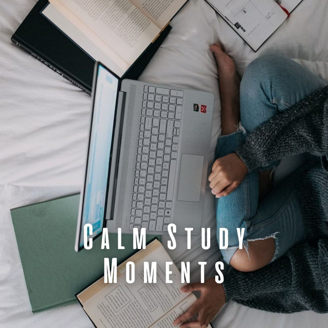 Calm Study Moments: Lofi Ambience for Deep Learning cover art