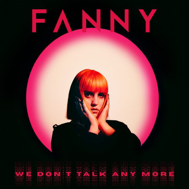 We Don't Talk Any More cover