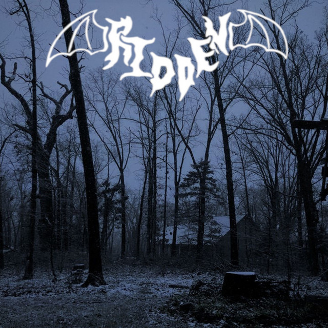 Ridden cover art