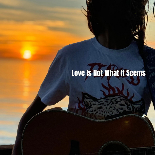 Love Is Not What It Seems cover art