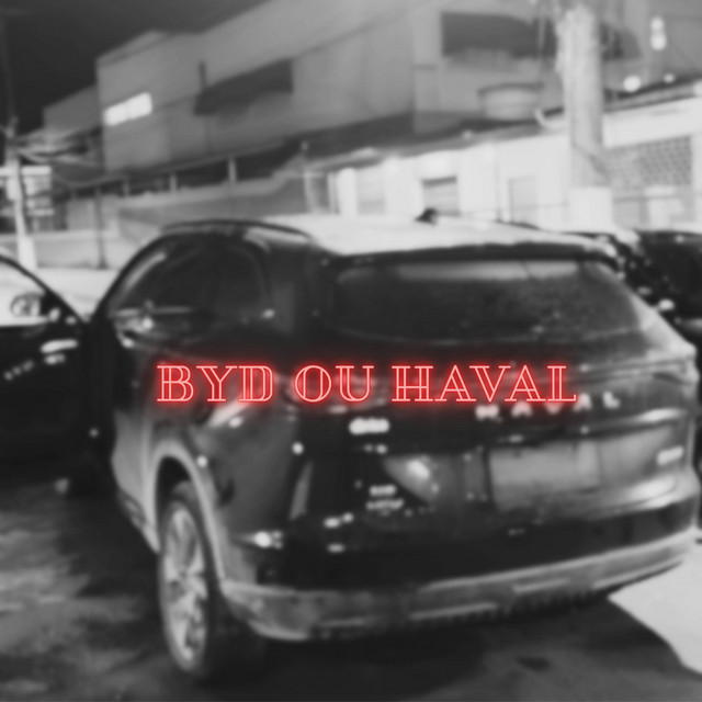 BYD OU HAVAL