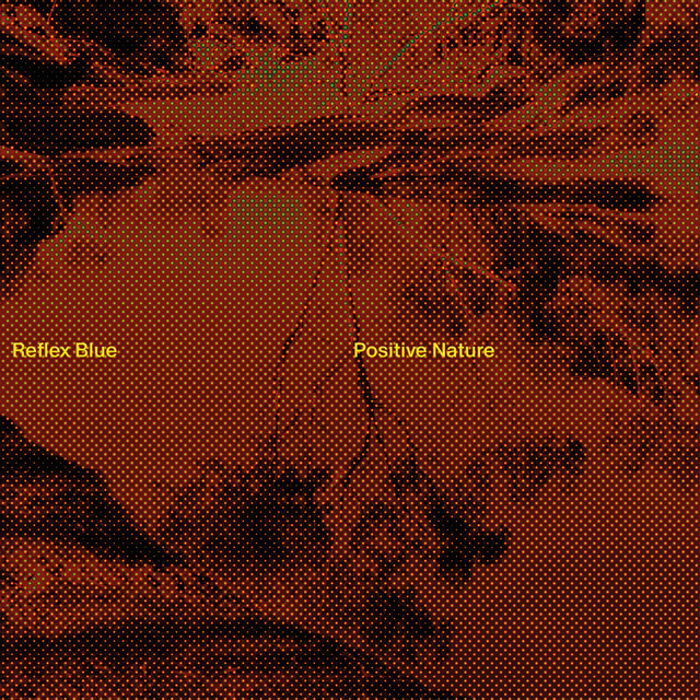 Positive Nature cover art