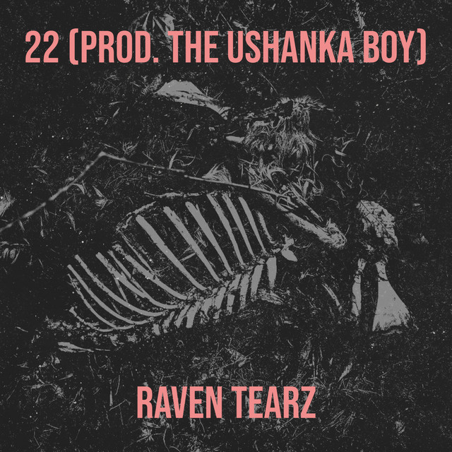 Обкладинка: 22 — Raven Tearz