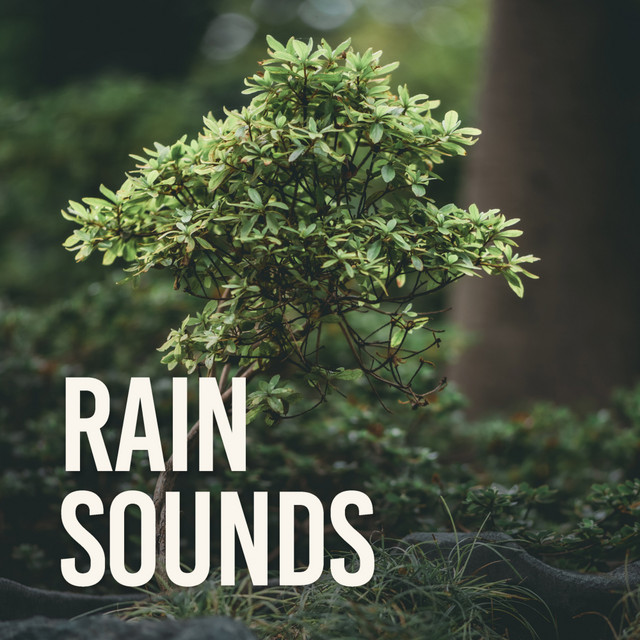 Rain Sounds cover art