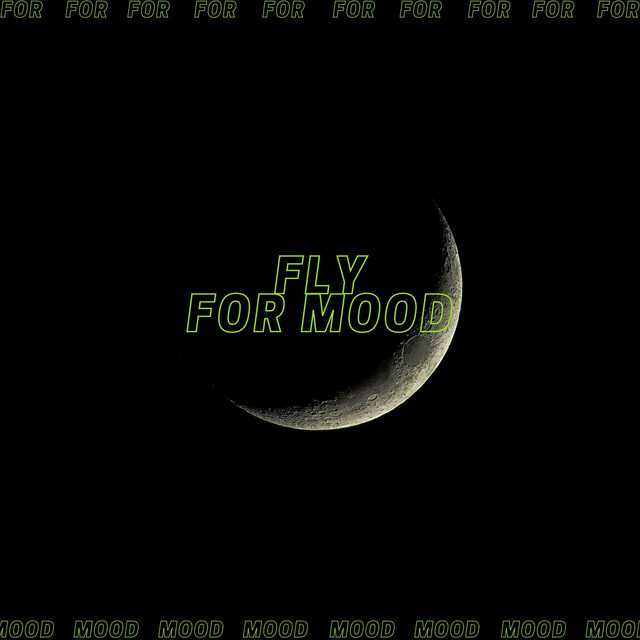 Fly for Mood (feat.мятка) - Single by plaggi | Spotify