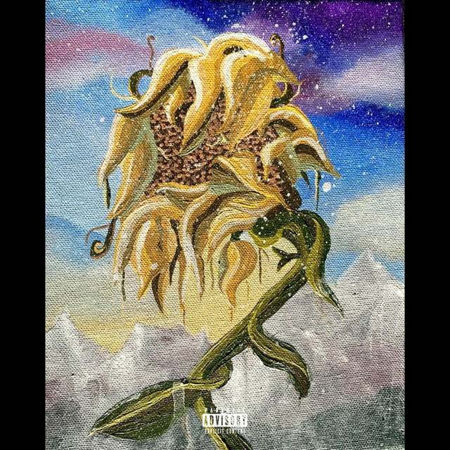 Walter with Drew The Alchemist + Bee Creeping + Bell Rider