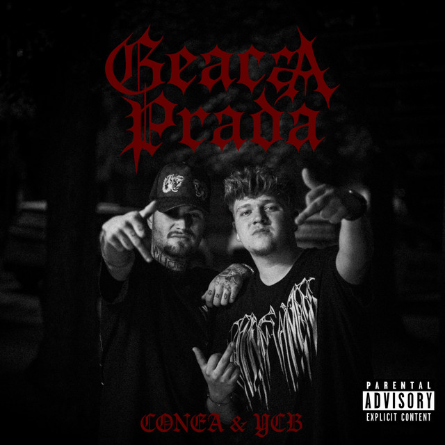 YCB | Spotify