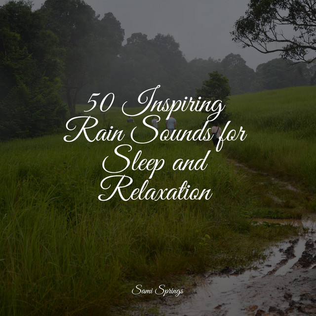50 Inspiring Rain Sounds for Sleep and Relaxation - Album by Life ...