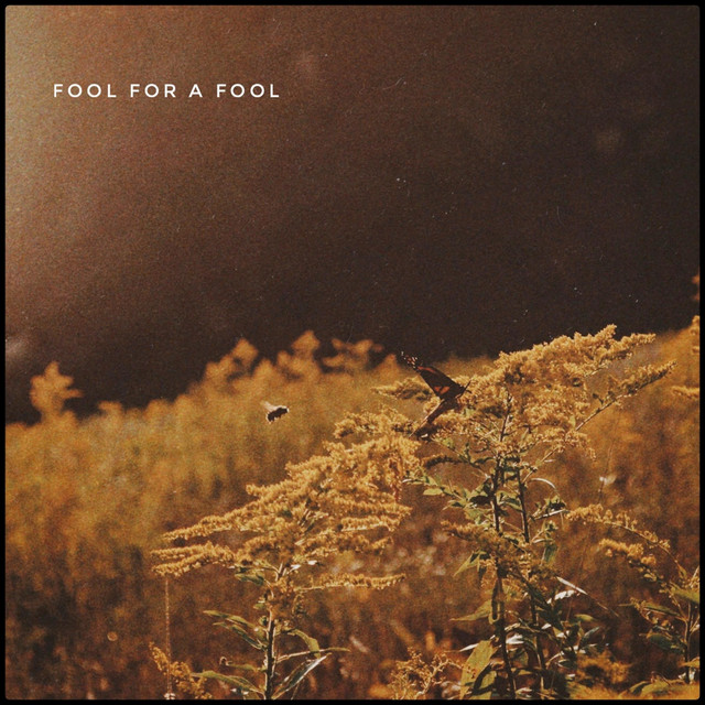 Fool for a Fool - Single by Nicole Tester | Spotify