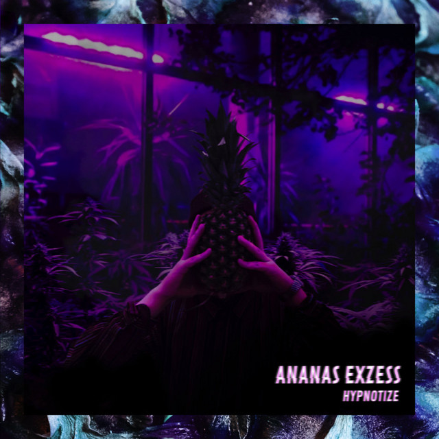 Ananas Exzess cover art