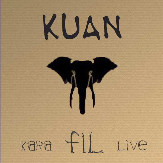 KARA FİL LIVE cover art