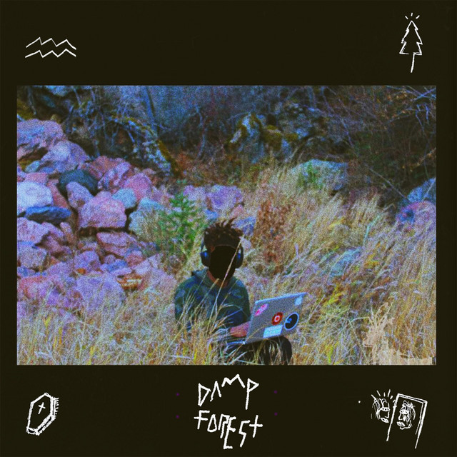 Damp Forest cover art