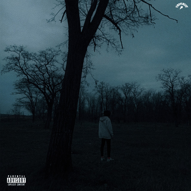 Обкладинка: Direction - Slowed + Reverb — sadplague