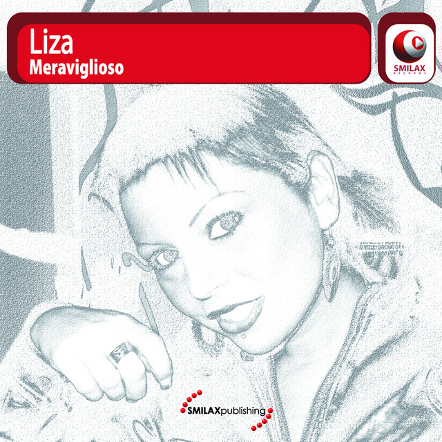 Meraviglioso cover art