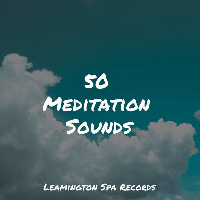 50 Meditation Sounds - Album by Yoga Trainer | Spotify