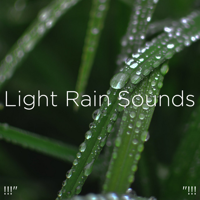 !!!" Light Rain Sounds "!!! cover art