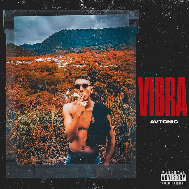 Vibra cover