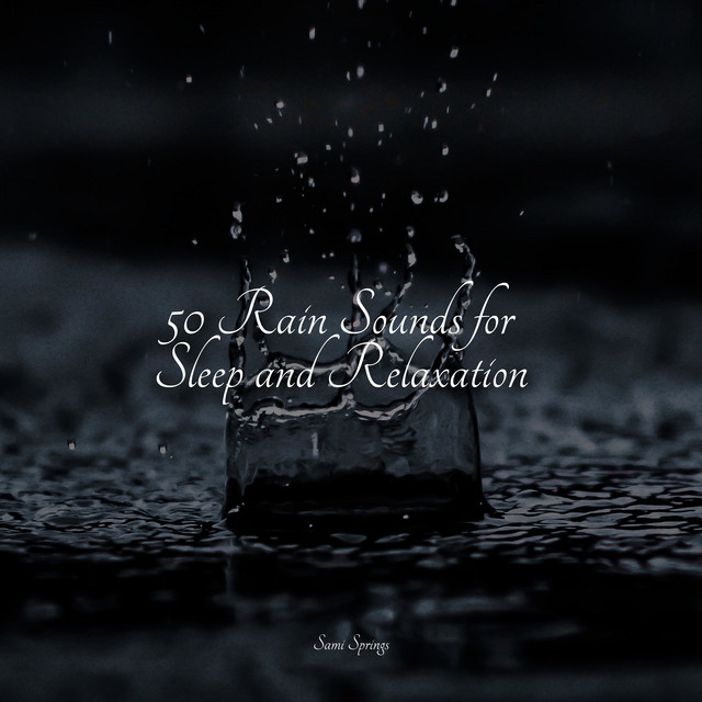 50 Rain Sounds for Sleep and Relaxation - Album by Spa Zen | Spotify