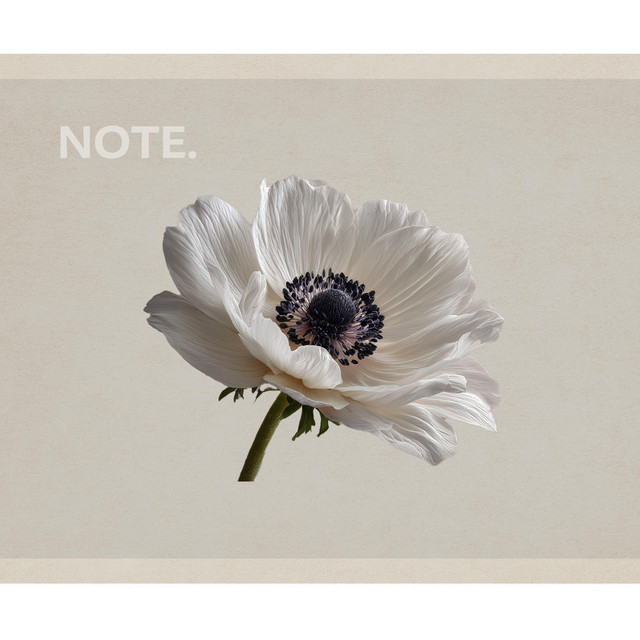 NOTE. #1 - Album by NOTE. | Spotify