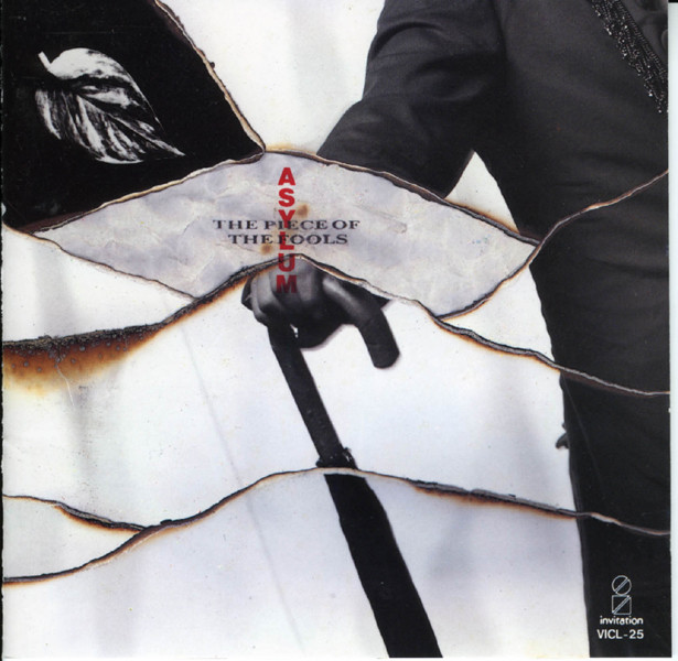 THE PIECE OF THE FOOLS cover art