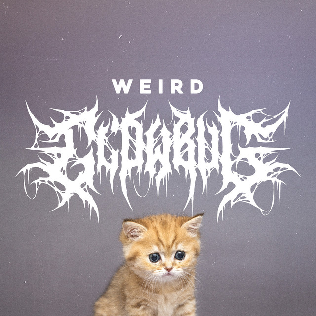 Weird cover art