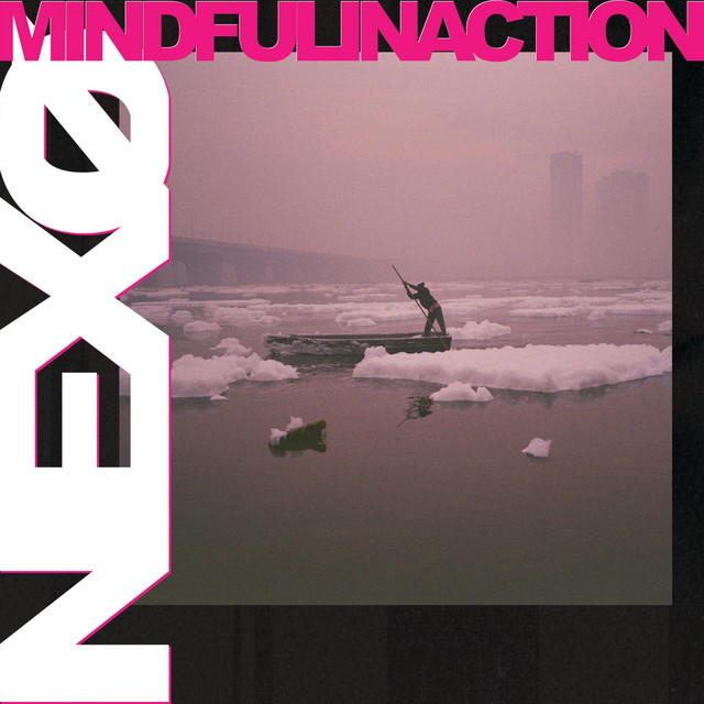 Mindful Inaction cover art