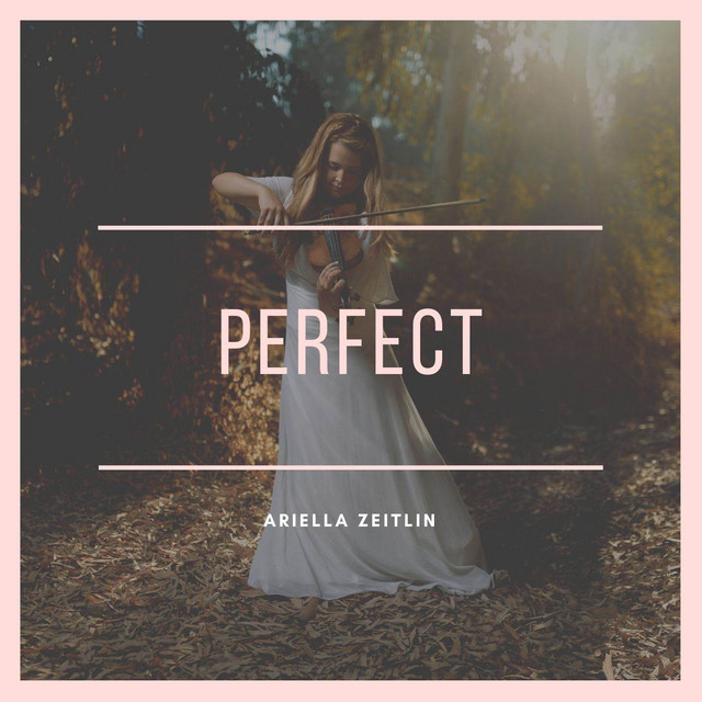 Perfect - Violin Cover