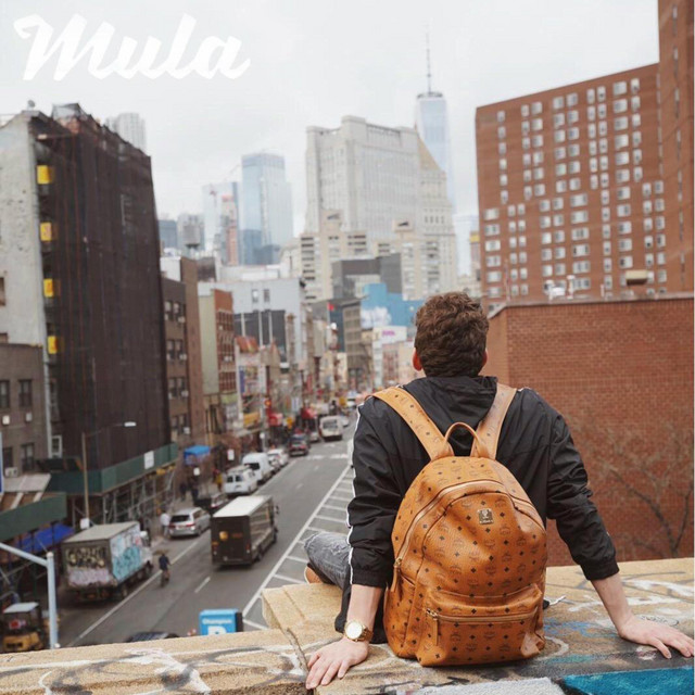 Mula cover art