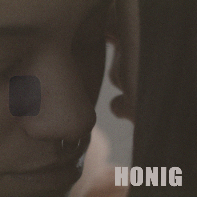 HONIG (Edit) cover art