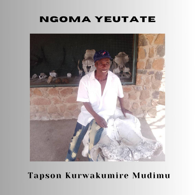 Tapson Kurwakumire Mudimu