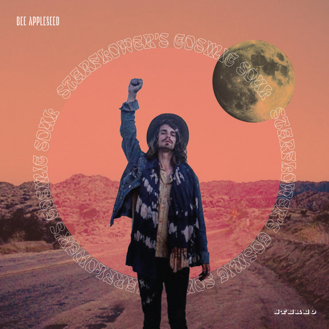 Cosmic Soul cover art