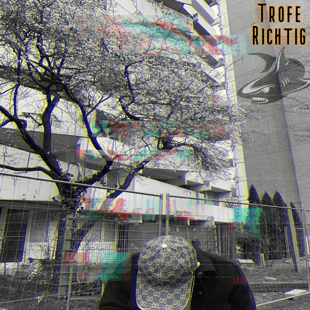 Richtig cover art