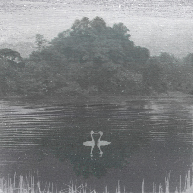 Kizuna Encounter cover