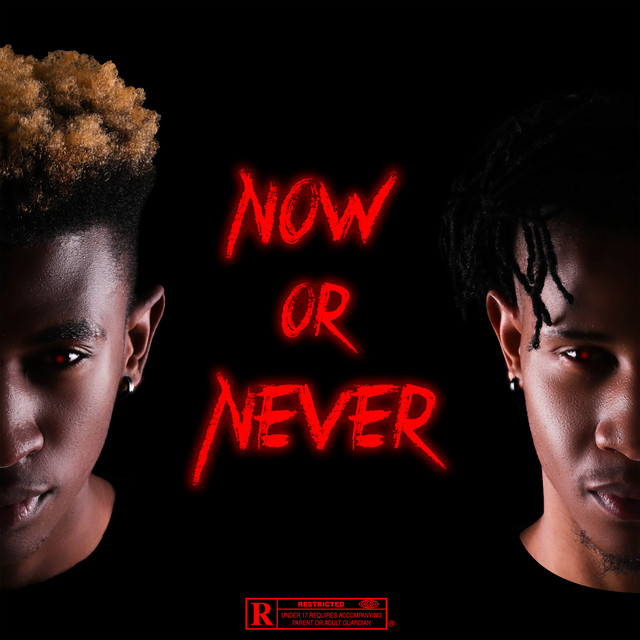 Now or Never cover art